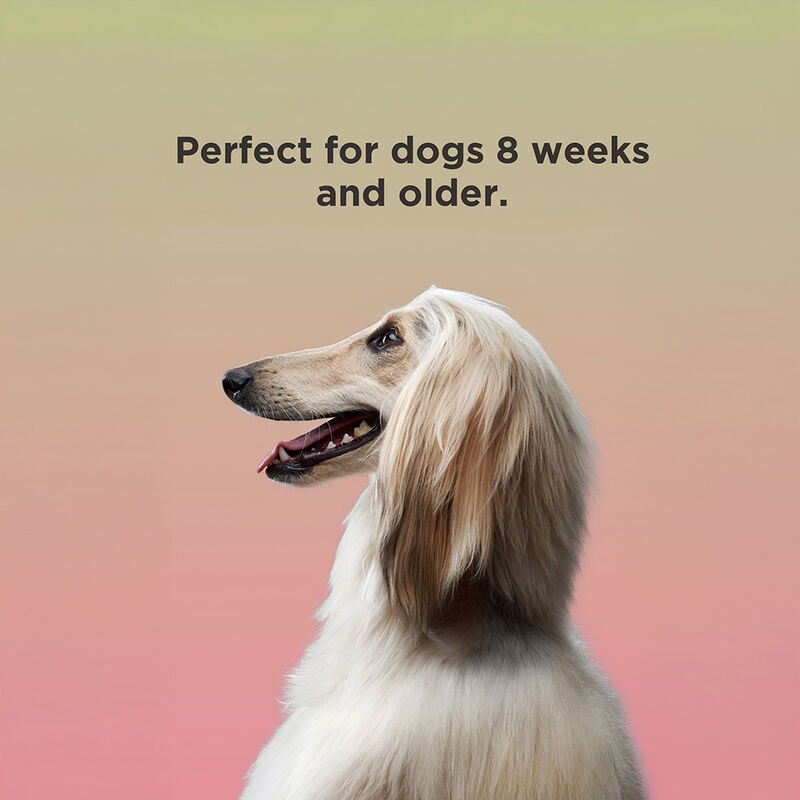 BioSilk For Dogs Irresistible 2 in 1 Shampoo and Conditioner, , large image number null